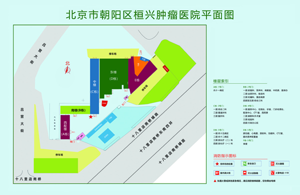 大黑鸡吧操小骚逼视频北京市朝阳区桓兴肿瘤医院平面图